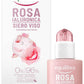 Equilibra Hyaluronic Rose Smoothing Face Serum For Radiance With Fermented Rose Water - 30ml Hydrating, Antioxidant Protection, All Skin Types