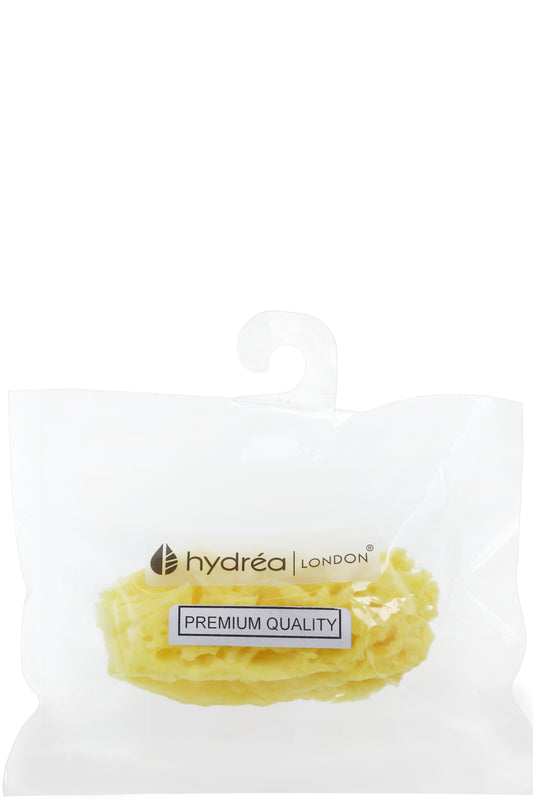 Hydrea Honeycomb Mediterranean Sponge ناعمة لا تسبب الحساسية 3-3.5 بوصة عضوية طبيعية مقشرة