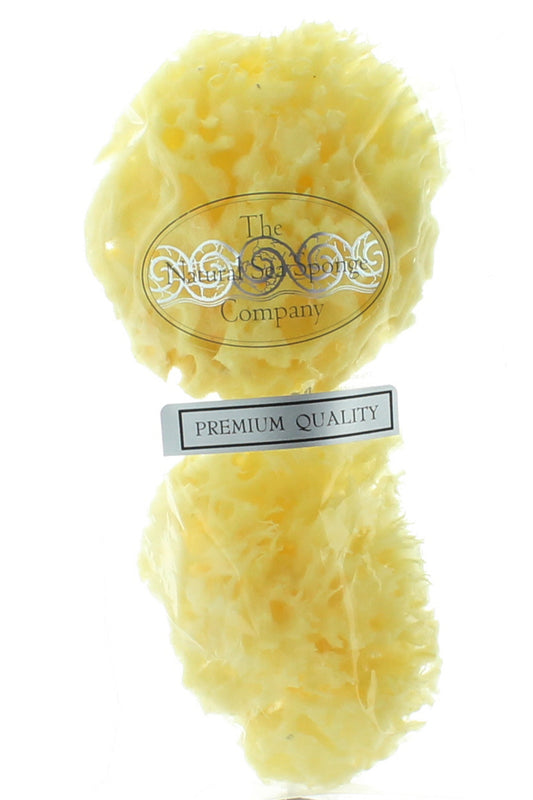 Hydrea Baby Natural Sea Sponge Set - إسفنج طبيعي للأطفال - فائق النعومة، لا يسبب الحساسية، يدوم طويلاً للبشرة الحساسة